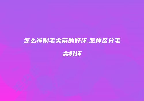 怎么辨别毛尖茶的好坏,怎样区分毛尖好坏