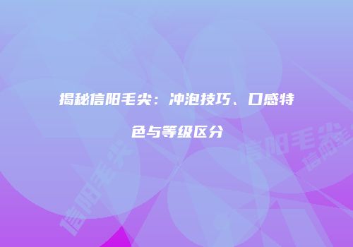 揭秘信阳毛尖：冲泡技巧、口感特色与等级区分