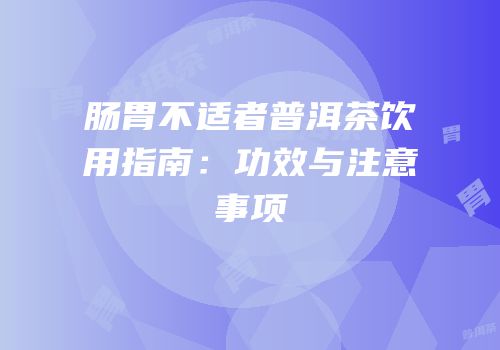 肠胃不适者普洱茶饮用指南：功效与注意事项