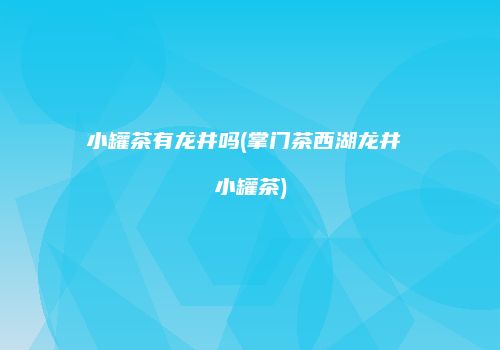 小罐茶有龙井吗(掌门茶西湖龙井 小罐茶)