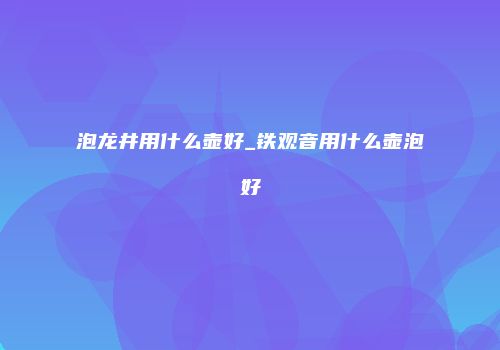 泡龙井用什么壶好_铁观音用什么壶泡好