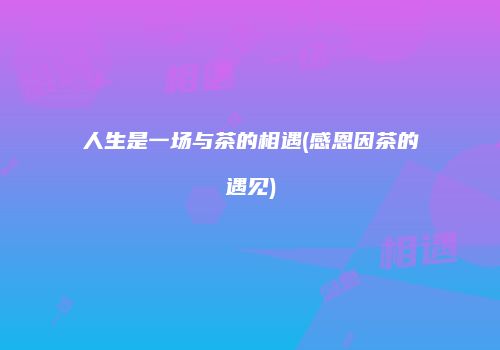 人生是一场与茶的相遇(感恩因茶的遇见)