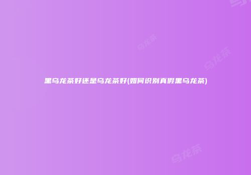 黑乌龙茶好还是乌龙茶好(如何识别真假黑乌龙茶)
