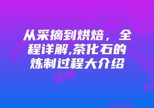 从采摘到烘焙，全程详解,茶化石的炼制过程大介绍