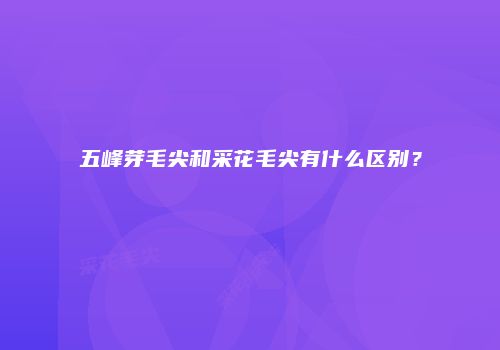 五峰芽毛尖和采花毛尖有什么区别？