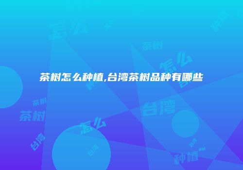 茶树怎么种植,台湾茶树品种有哪些