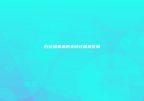 白茶和黄茶的发酵过程及区别
