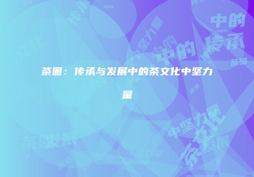 茶圈：传承与发展中的茶文化中坚力量