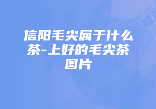 信阳毛尖属于什么茶-上好的毛尖茶图片