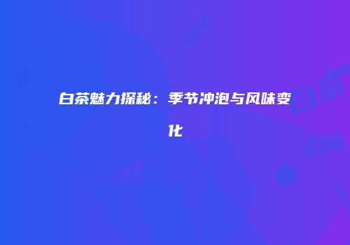 白茶魅力探秘：季节冲泡与风味变化