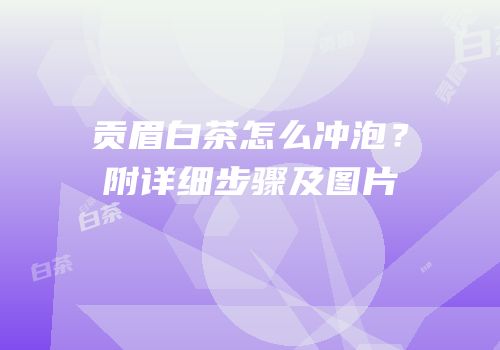 贡眉白茶怎么冲泡？附详细步骤及图片