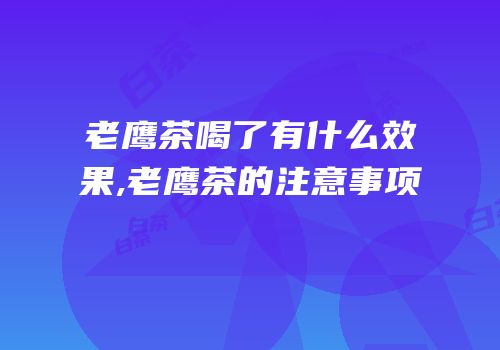 老鹰茶喝了有什么效果,老鹰茶的注意事项