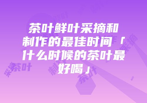 茶叶鲜叶采摘和制作的最佳时间「什么时候的茶叶最好喝」