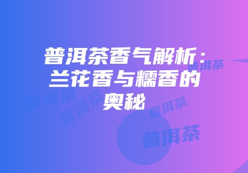 普洱茶香气解析：兰花香与糯香的奥秘