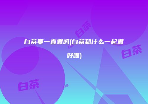 白茶要一直煮吗(白茶和什么一起煮好喝)