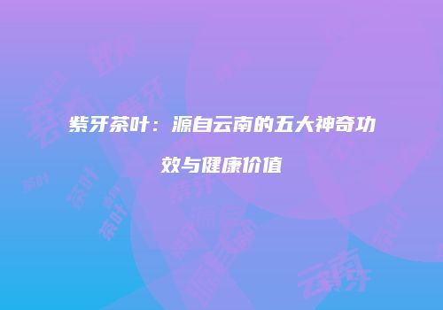 紫牙茶叶：源自云南的五大神奇功效与健康价值