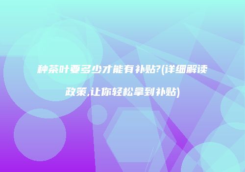 种茶叶要多少才能有补贴?(详细解读政策,让你轻松拿到补贴)