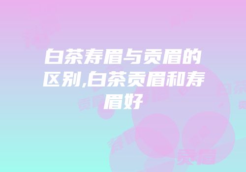 白茶寿眉与贡眉的区别,白茶贡眉和寿眉好