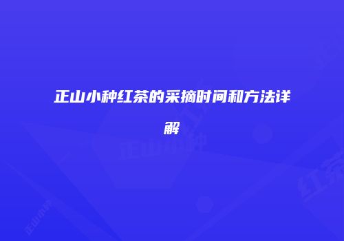 正山小种红茶的采摘时间和方法详解
