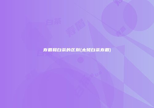 寿眉和白茶的区别(太姥白茶寿眉)