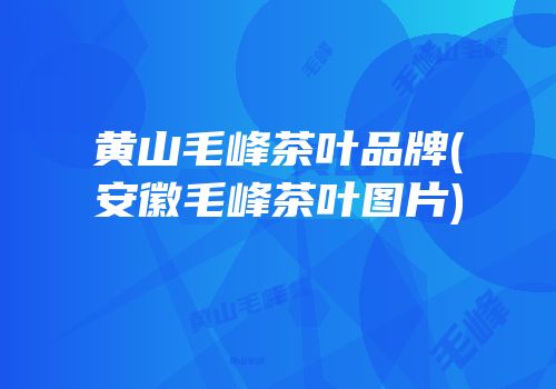 黄山毛峰茶叶品牌(安徽毛峰茶叶图片)