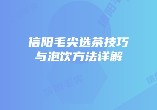 信阳毛尖选茶技巧与泡饮方法详解