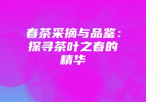 春茶采摘与品鉴：探寻茶叶之春的精华