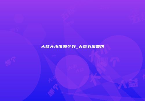 大益大小饼哪个好_大益五级普饼