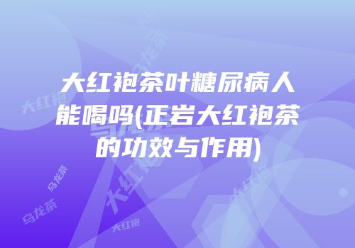 大红袍茶叶糖尿病人能喝吗(正岩大红袍茶的功效与作用)