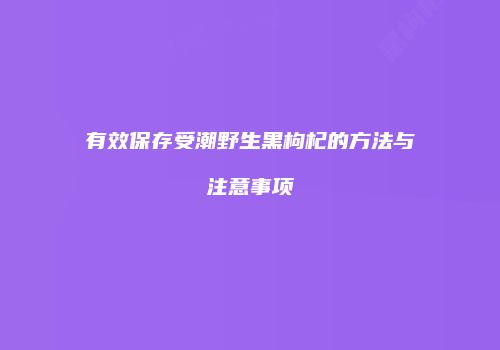 有效保存受潮野生黑枸杞的方法与注意事项
