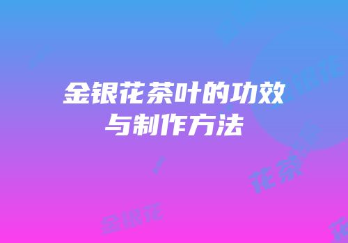 金银花茶叶的功效与制作方法