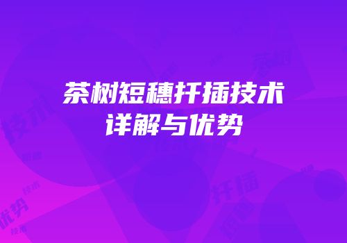 茶树短穗扦插技术详解与优势
