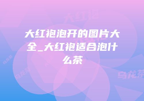 大红袍泡开的图片大全_大红袍适合泡什么茶
