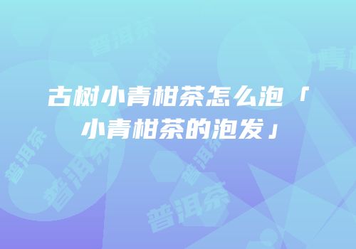 古树小青柑茶怎么泡「小青柑茶的泡发」