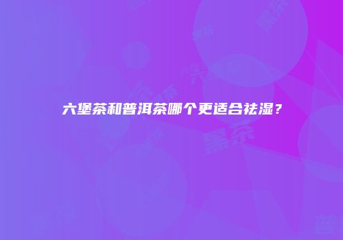 六堡茶和普洱茶哪个更适合祛湿？
