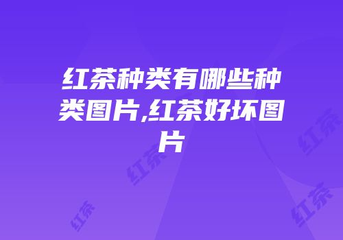 红茶种类有哪些种类图片,红茶好坏图片