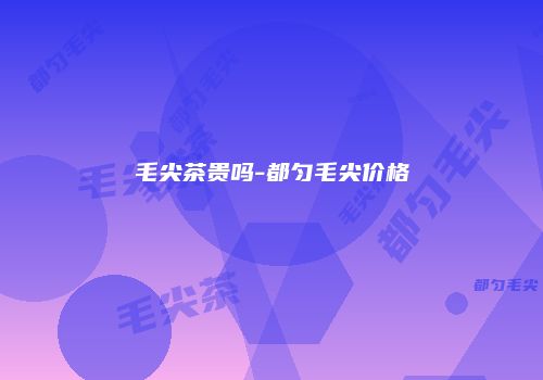 毛尖茶贵吗-都匀毛尖价格