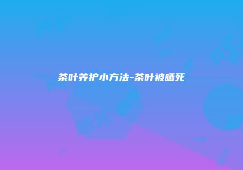 茶叶养护小方法-茶叶被晒死