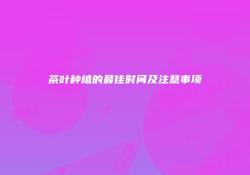 茶叶种植的最佳时间及注意事项