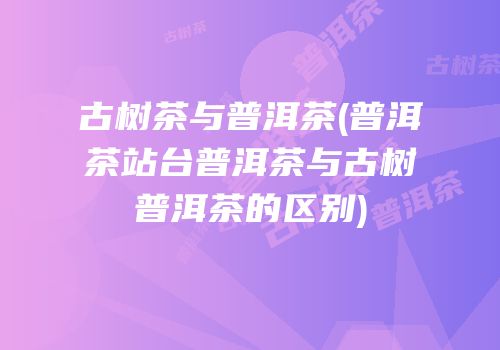 古树茶与普洱茶(普洱茶站台普洱茶与古树普洱茶的区别)