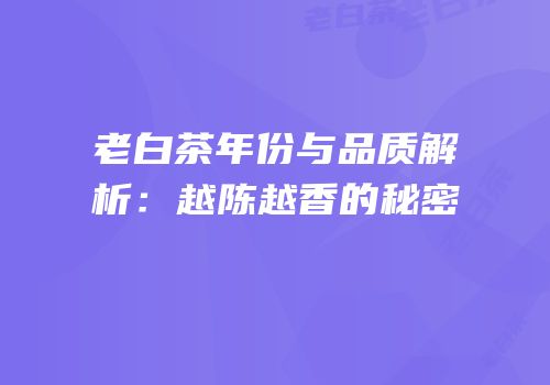 老白茶年份与品质解析：越陈越香的秘密