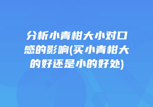 分析小青柑大小对口感的影响(买小青柑大的好还是小的好处)