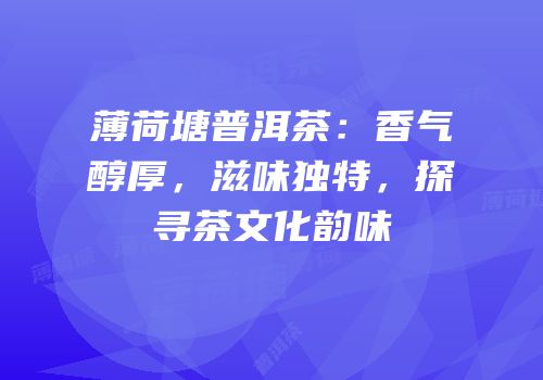薄荷塘普洱茶：香气醇厚，滋味独特，探寻茶文化韵味