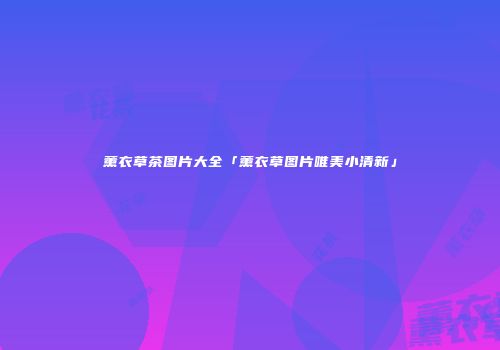 薰衣草茶图片大全「薰衣草图片唯美小清新」