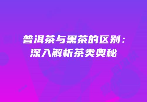 普洱茶与黑茶的区别：深入解析茶类奥秘