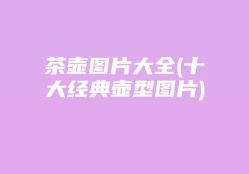 茶壶图片大全(十大经典壶型图片)
