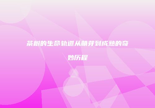 茶树的生命轨道从萌芽到成熟的奇妙历程