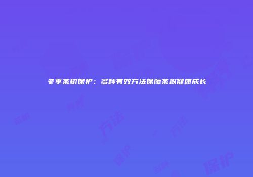 冬季茶树保护：多种有效方法保障茶树健康成长