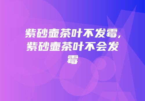 紫砂壶茶叶不发霉,紫砂壶茶叶不会发霉