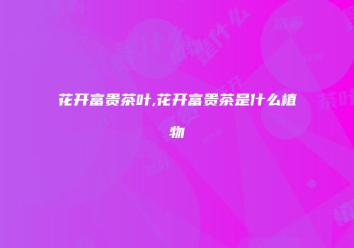 花开富贵茶叶,花开富贵茶是什么植物